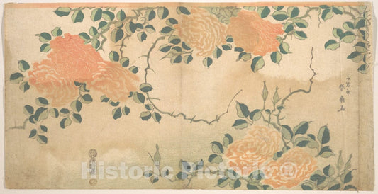 Art Print : Kashosai Shunsen - Roses - Japan : Vintage Wall Art