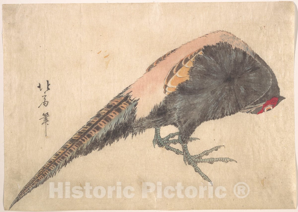Art Print : Hakusanjin Hokui - Bird - Japan : Vintage Wall Art