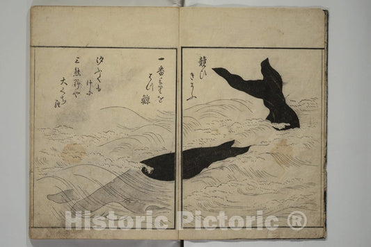 Art Print : Kuwagata Keisai - The Servants of The Dragon King of The Sea: Fish and Shells (Tatsu no miyatsuko gyokai fu) - Japan v.1 : Vintage Wall Art