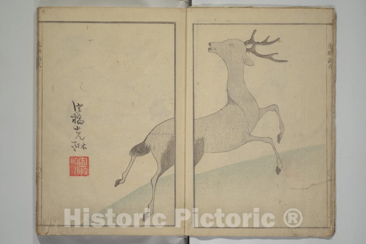 Art Print : Aikawa Minwa - K?rin's Painting Style (K?rin gashiki) - Japan v.1 : Vintage Wall Art