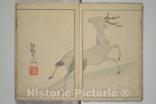 Art Print : Aikawa Minwa - K?rin's Painting Style (K?rin gashiki) - Japan v.1 : Vintage Wall Art