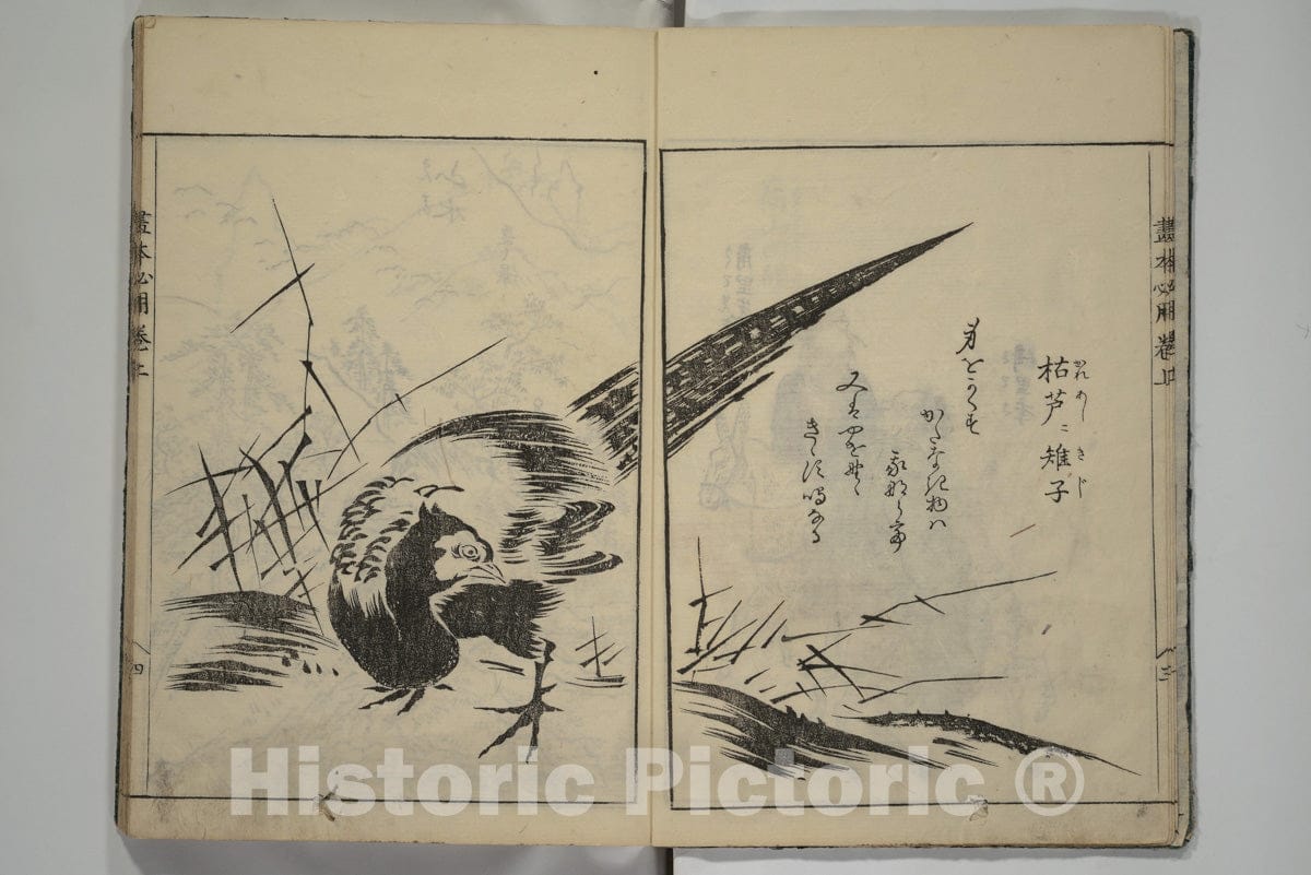 Art Print : Sadatoshi - A Picture Book on The Study of Paintings (Ehon hitsury?) - Japan : Vintage Wall Art