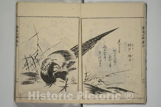 Art Print : Sadatoshi - A Picture Book on The Study of Paintings (Ehon hitsury?) - Japan : Vintage Wall Art