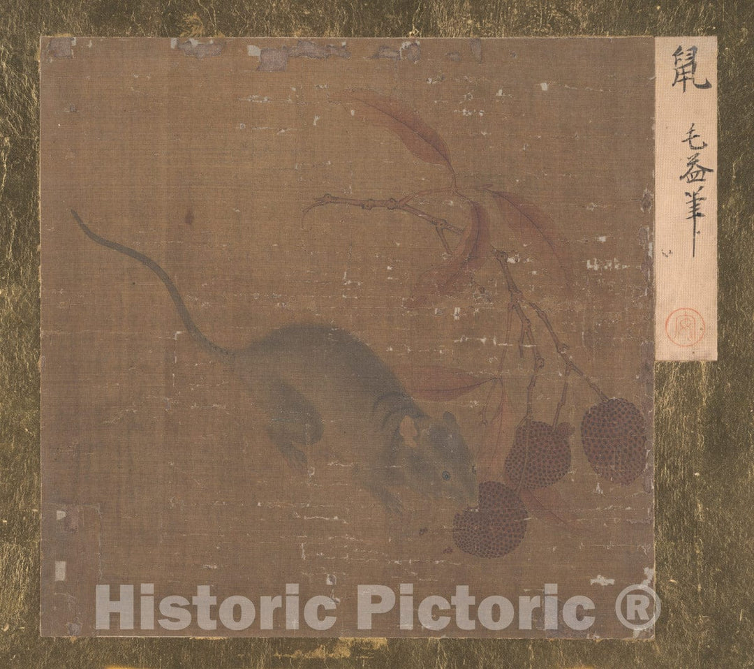 Art Print : Unidentified Artist - Mouse Eating Lichee Fruit - China - Song Dynasty (?) (960–1279) : Vintage Wall Art