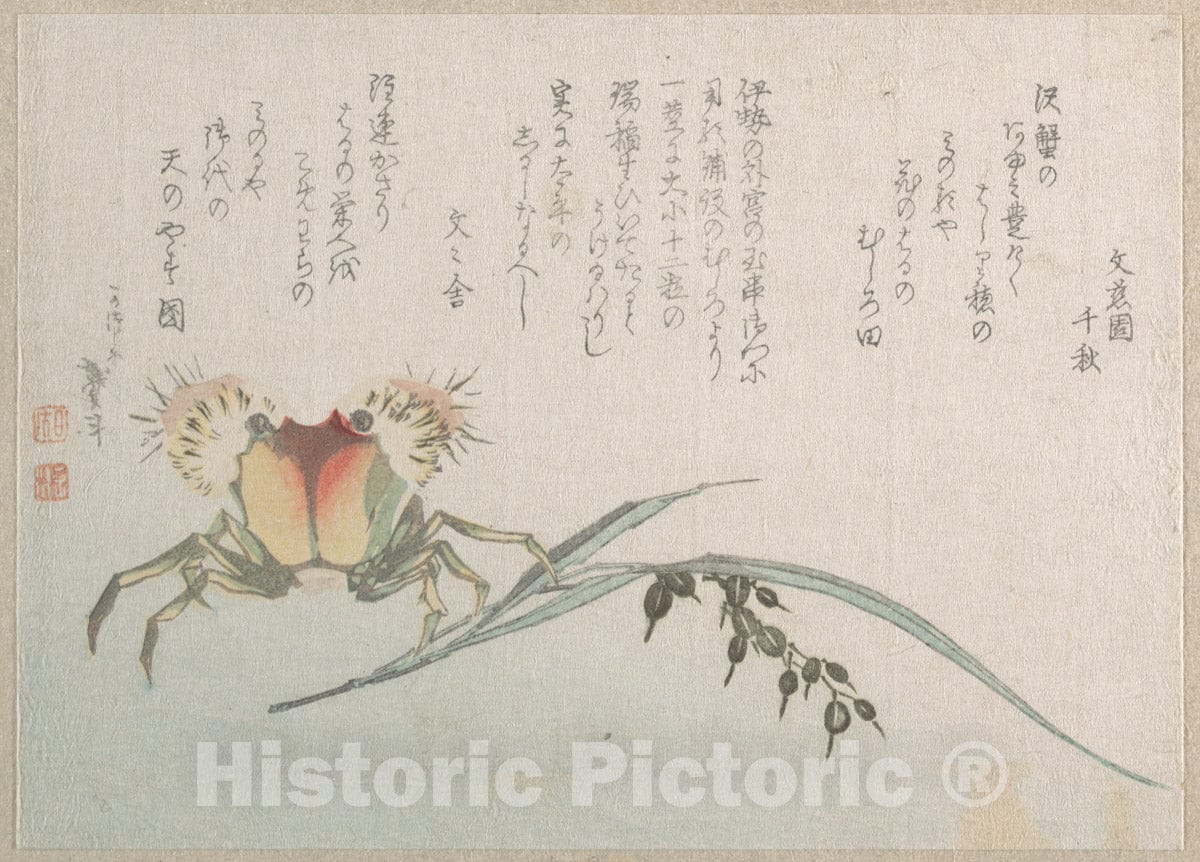 Art Print : Katsushika Hokusai - Crab and Rice Plant - Japan : Vintage Wall Art