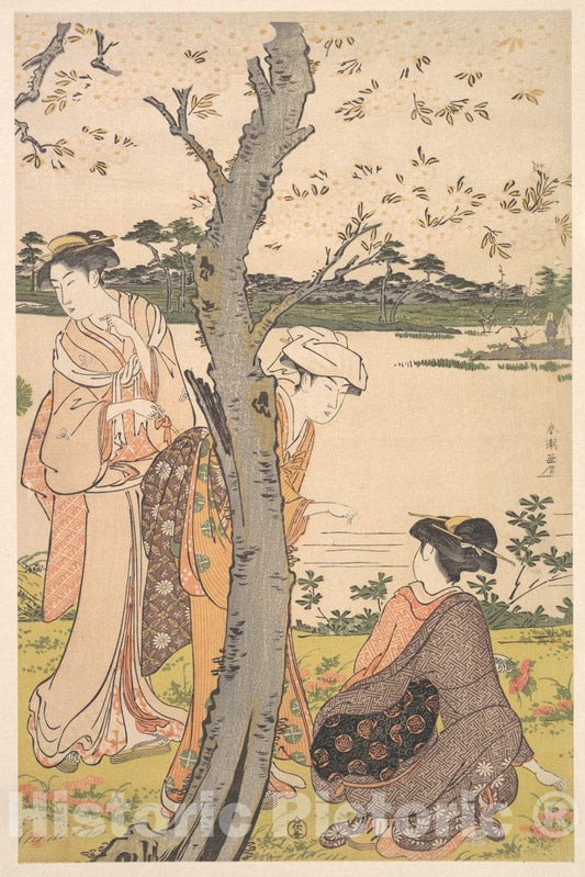 Art Print : Katsukawa Shunch? - Gathering Young Flowers - Japan : Vintage Wall Art