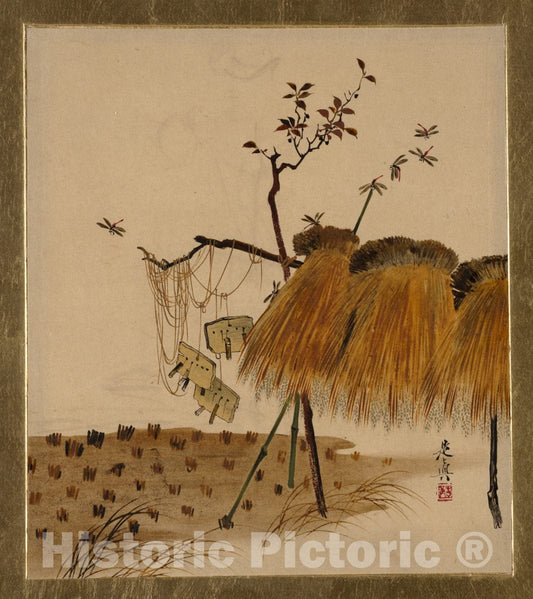 Art Print : Shibata Zeshin - Lacquer Paintings of Various Subjects: Stack of Rice and Dragonflies - Japan : Vintage Wall Art