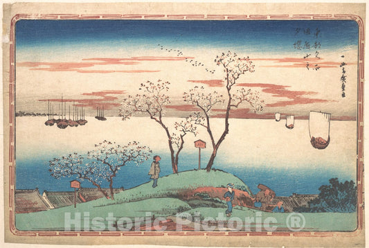 Art Print : Utagawa Hiroshige - Evening Cherry Blossoms at Gotenyama - Japan : Vintage Wall Art