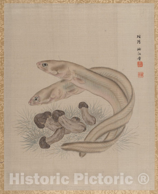 Art Print : Seki Sh?k? - Eels - Japan : Vintage Wall Art