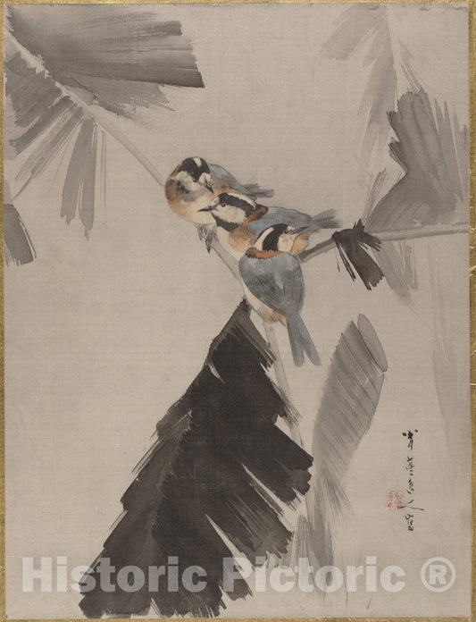 Art Print : Watanabe Seitei - Three Birds on Branch - Japan : Vintage Wall Art