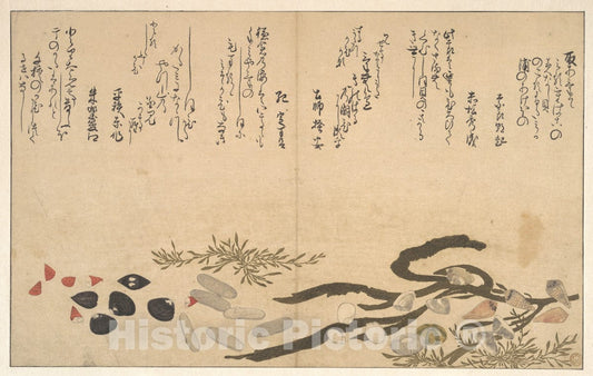Art Print : Kitagawa Utamaro - Shells Under Water - Japan v.2 : Vintage Wall Art
