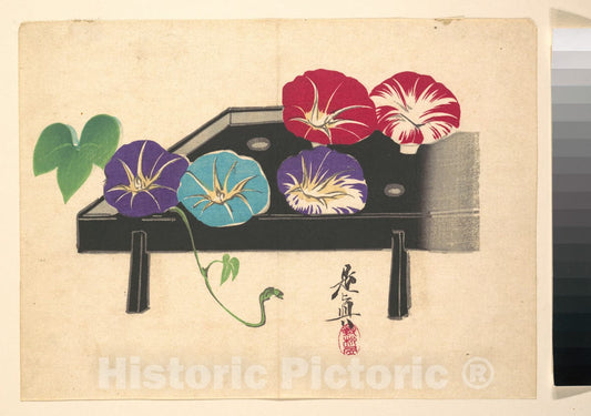 Art Print : Shibata Zeshin - Morning Glories - Japan : Vintage Wall Art