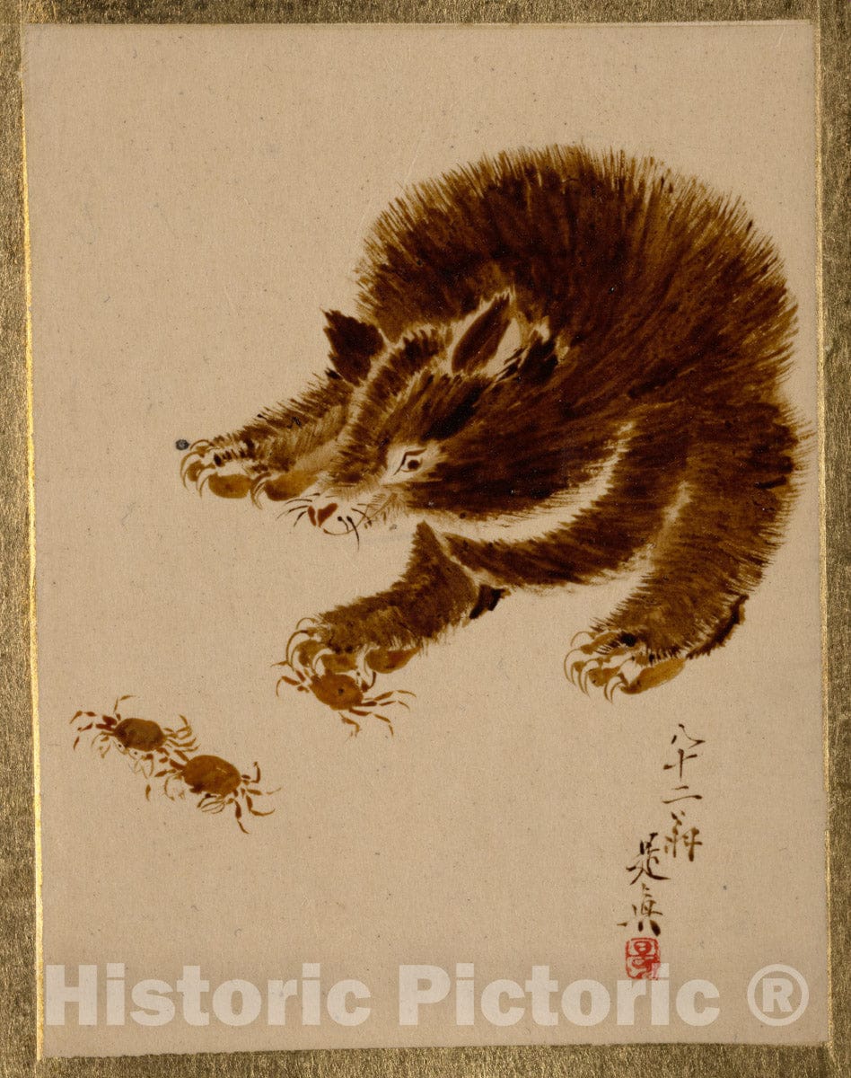Art Print : Shibata Zeshin - Bear and Crabs - Japan : Vintage Wall Art