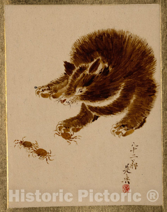 Art Print : Shibata Zeshin - Bear and Crabs - Japan : Vintage Wall Art