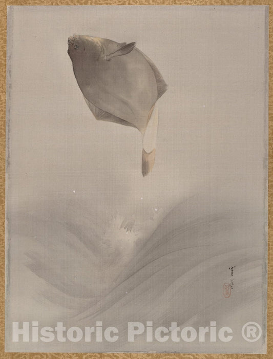 Art Print : Watanabe Seitei - Jumping Fish - Japan : Vintage Wall Art