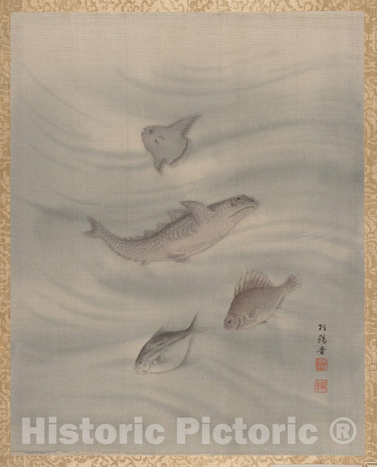 Art Print : Seki Sh?k? - Fishes - Japan - 413838 : Vintage Wall Art
