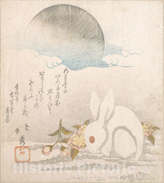 Art Print : Taisosai Hokushu - Moon