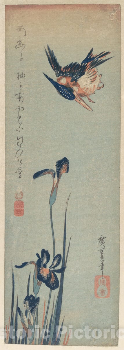 Art Print : Utagawa Hiroshige - Kingfisher and Irises : Vintage Wall Art