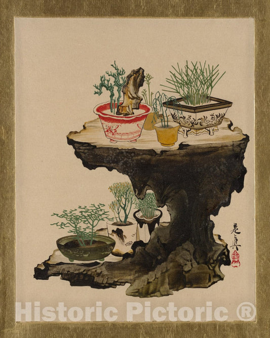 Art Print : Shibata Zeshin - Lacquer Paintings of Various Subjects: Bonsai - Japan : Vintage Wall Art