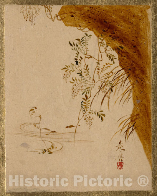 Art Print : Shibata Zeshin - Overhanging Cliff - Japan : Vintage Wall Art