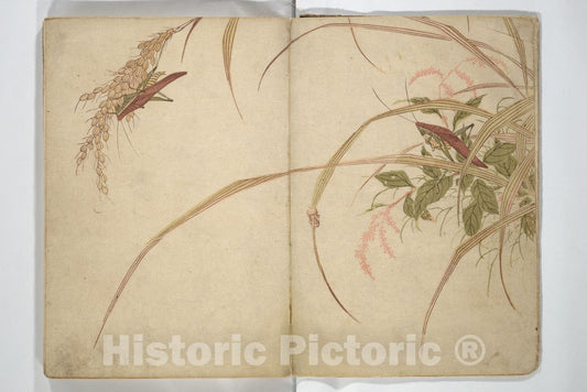 Art Print : Mori Shunkei - Shunkei Picture Album (Shunkei gafu) - Japan : Vintage Wall Art