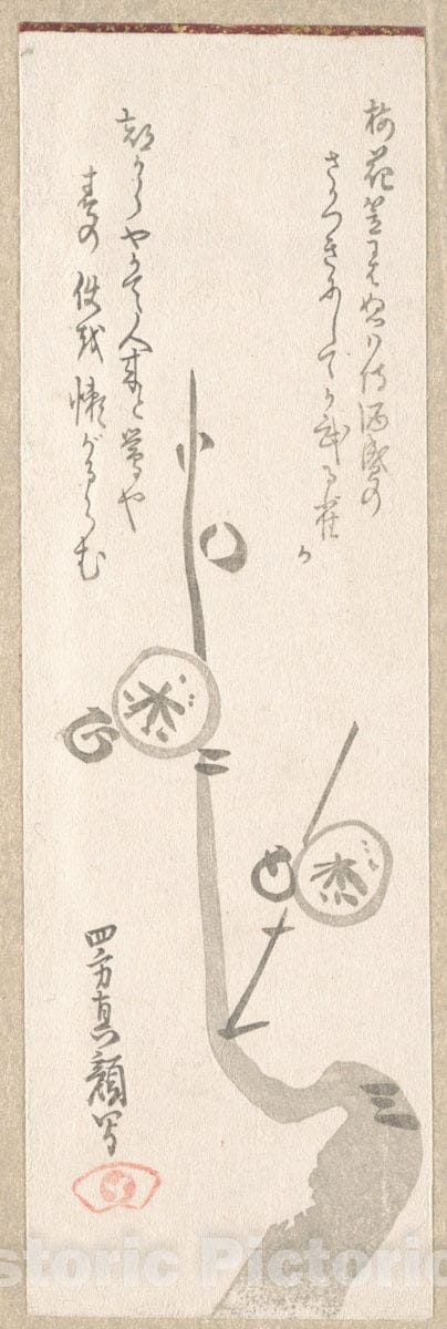 Art Print : Yomo no Utagaki Magao - Plum Blossoms : Vintage Wall Art