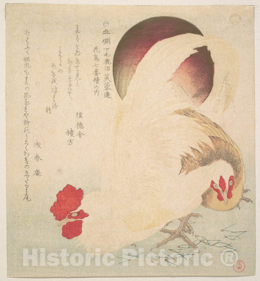 Art Print : Totoya Hokkei - Rising Sun and a Cock and a Hen - Japan : Vintage Wall Art