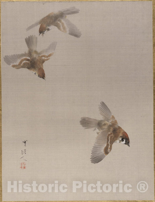 Art Print : Watanabe Seitei - Sparrows Flying - Japan : Vintage Wall Art