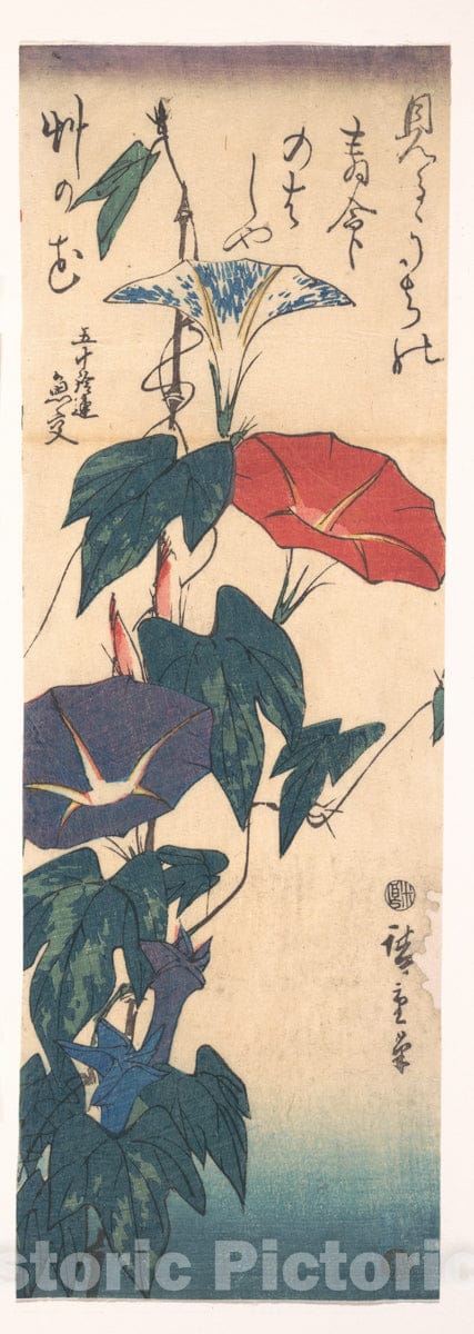 Art Print : Utagawa Hiroshige - Morning Glories  v.1 : Vintage Wall Art