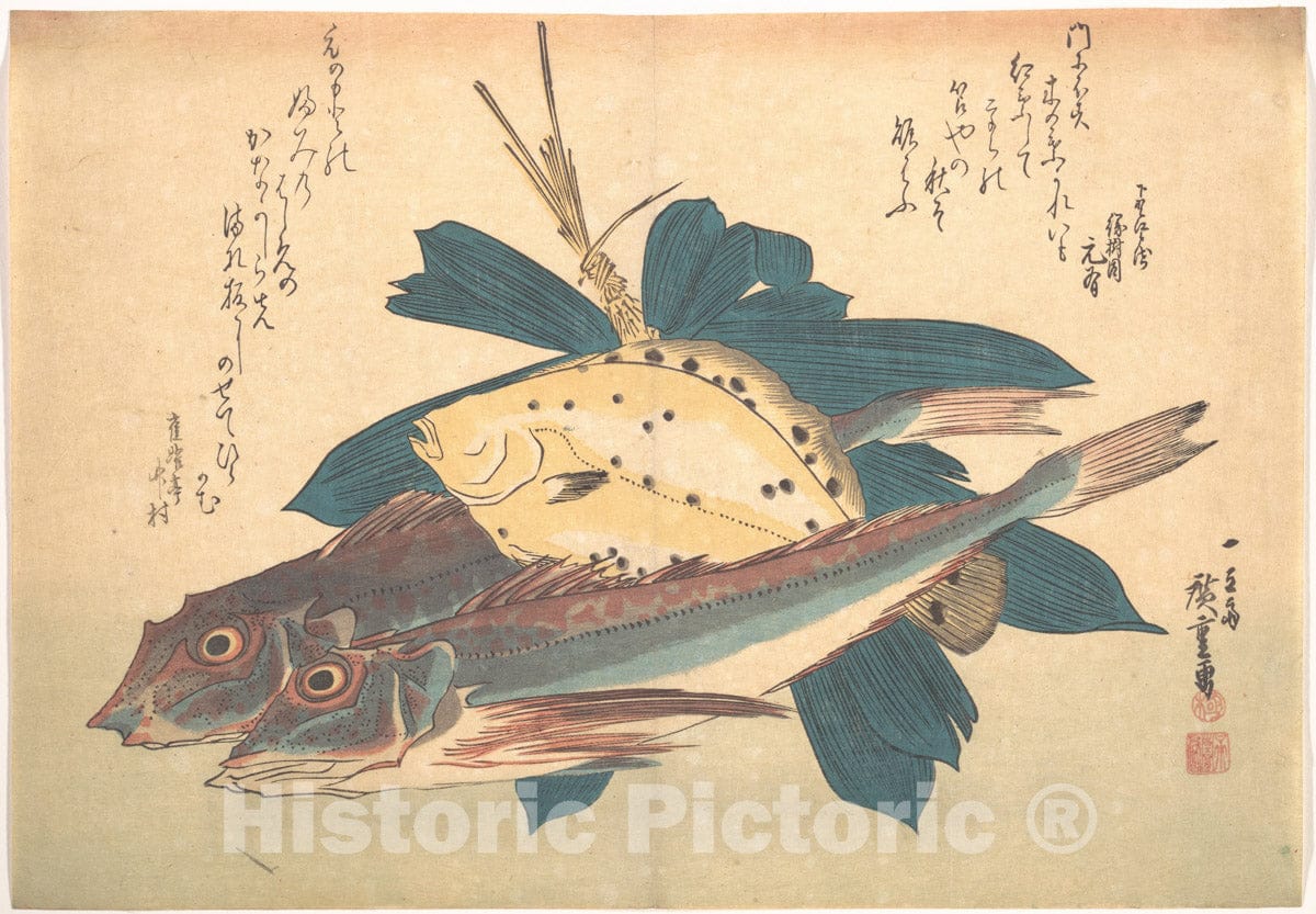 Art Print : Utagawa Hiroshige - Kanagashira and Karei Fish, from The Series Uozukushi (Every Variety of Fish) - Japan : Vintage Wall Art