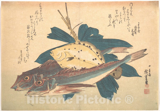 Art Print : Utagawa Hiroshige - Kanagashira and Karei Fish, from The Series Uozukushi (Every Variety of Fish) - Japan : Vintage Wall Art
