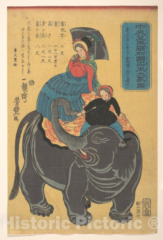 Art Print : Ichiry?sai Yoshitoyo - Picture of an Elephant Born in Maruka in Central India - Japan : Vintage Wall Art