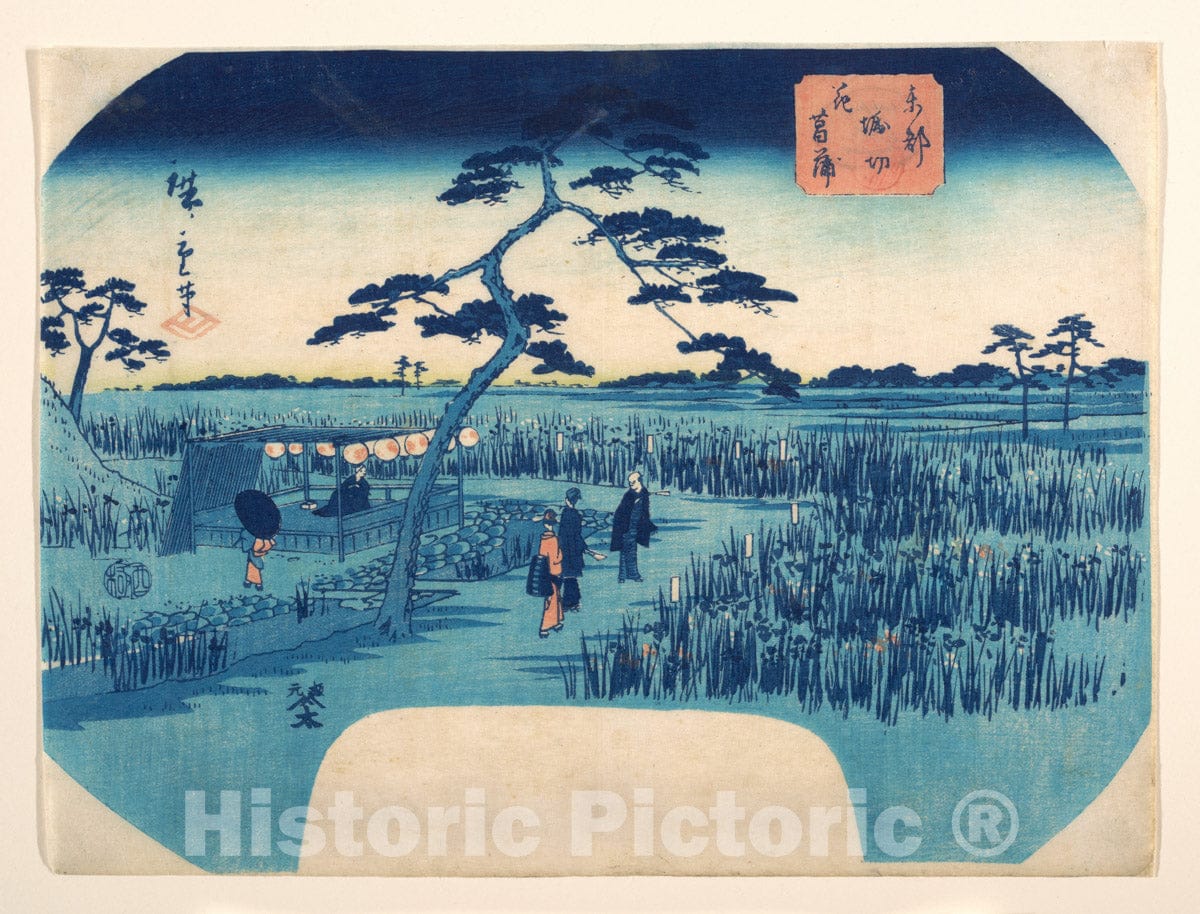 Art Print : Utagawa Hiroshige II - View of Iris Gardens at Horikiri - Japan : Vintage Wall Art