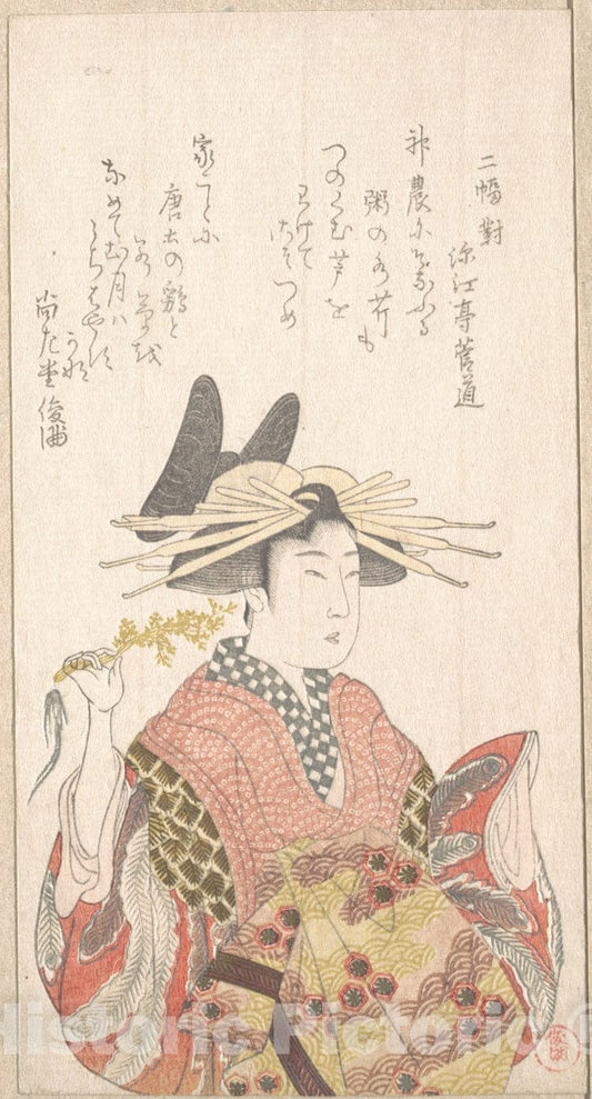 Art Print : Kubo Shunman - Courtesan with Branch of Seri - Japan : Vintage Wall Art