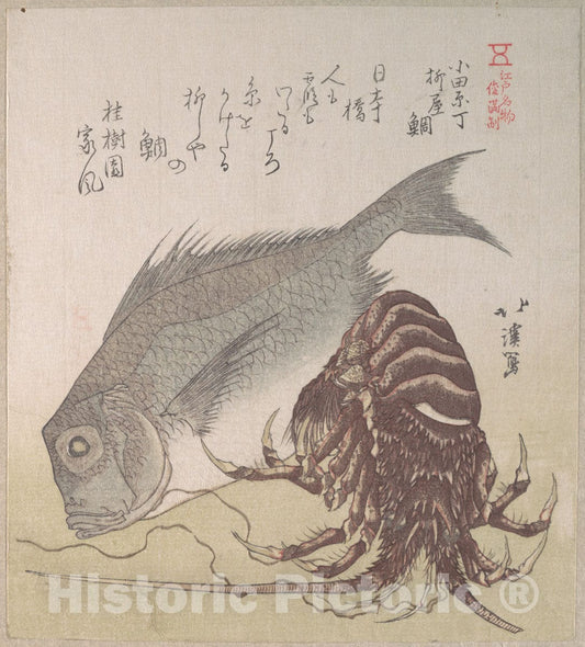 Art Print : Totoya Hokkei - Tai Fish and Lobster