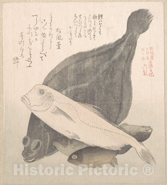 Art Print : Kubo Shunman - Flounder and Other Fishes - Japan : Vintage Wall Art