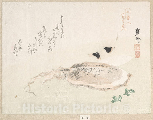 Art Print : Yosai - Cuttle Fish - Japan : Vintage Wall Art