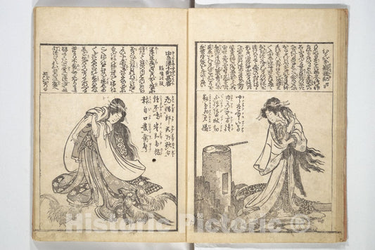 Art Print : Katsushika Hokusai - Mixed Verses on J?ruri (Puppet Theater) (Ehon j?ruri zekku) - Japan : Vintage Wall Art