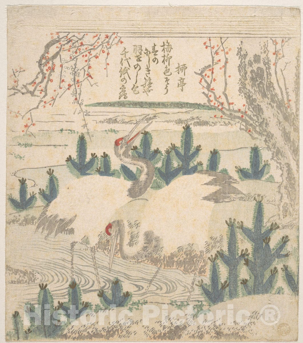 Art Print : Unidentified Artist - Cranes Among Young Pines Near a Stream - Japan : Vintage Wall Art