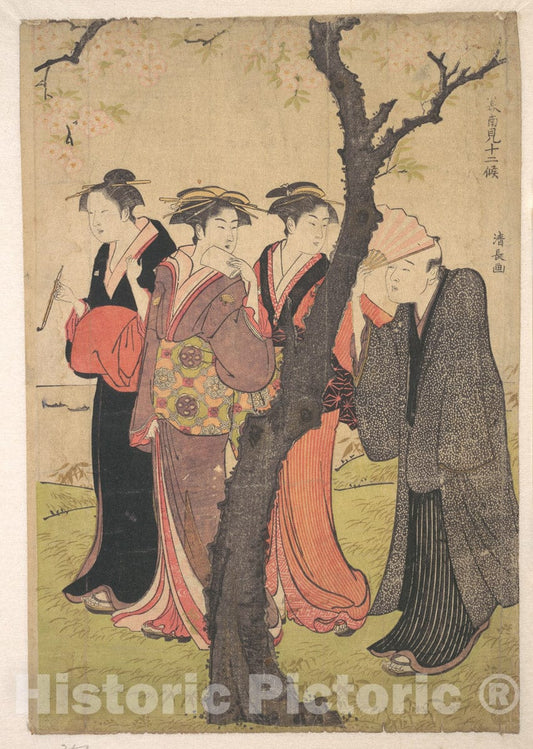 Art Print : Torii Kiyonaga - Cherry Blosson Viewing at Gotenyama - Japan : Vintage Wall Art
