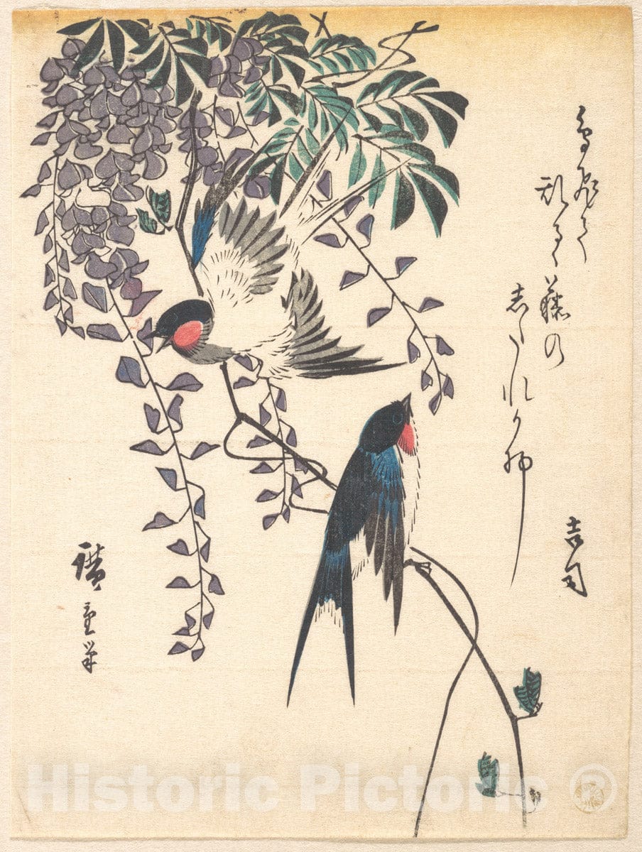 Art Print : Utagawa Hiroshige - Swallow and Wisteria - Japan : Vintage Wall Art