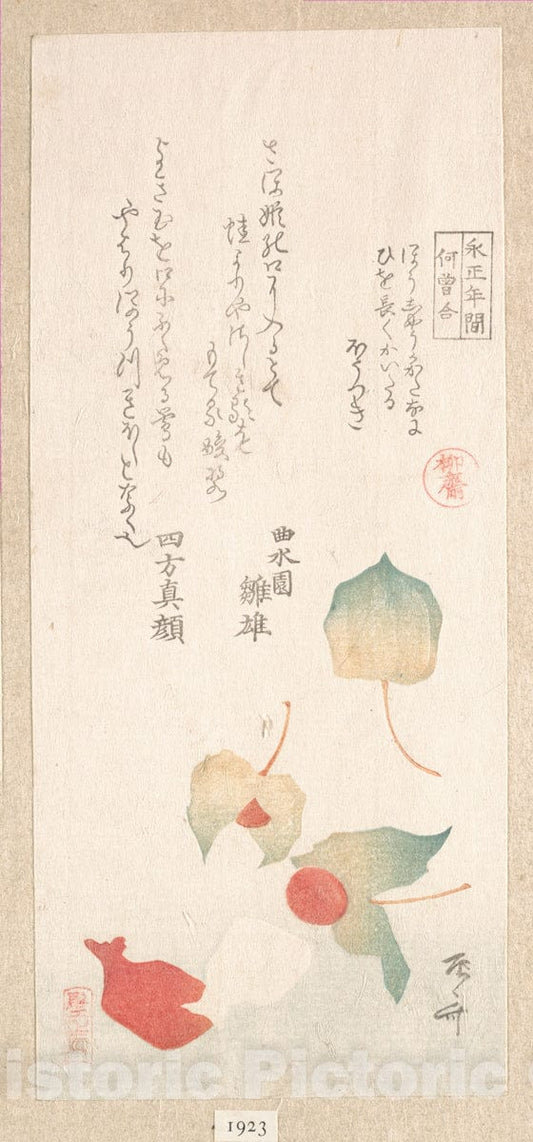 Art Print : Ry?ry?kyo Shinsai - Winter Cherries - Japan : Vintage Wall Art