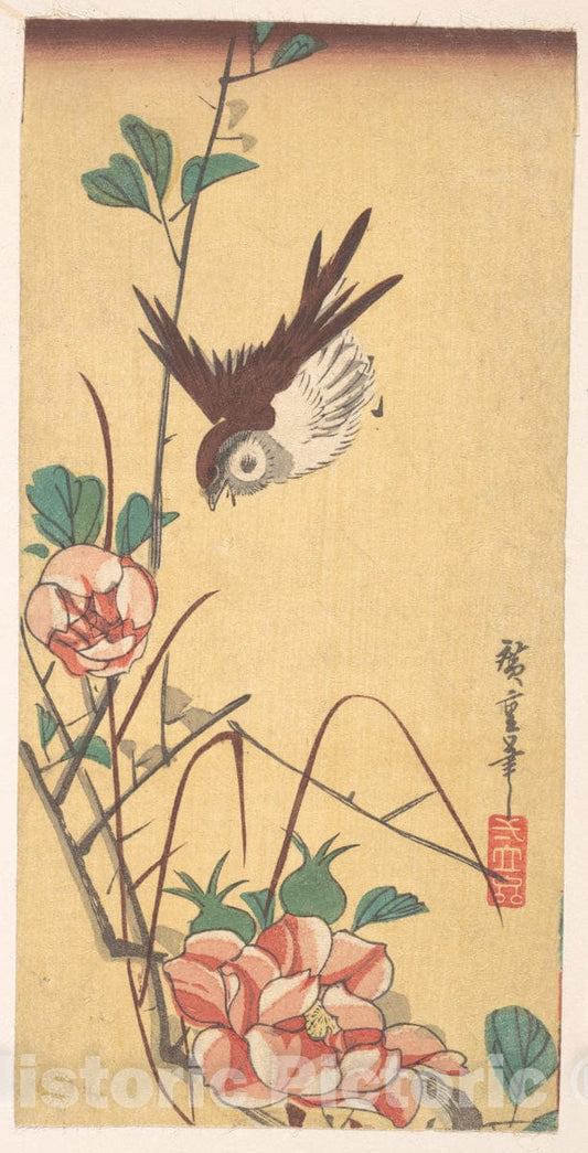 Art Print : Utagawa Hiroshige - Roses and Sparrow - Japan : Vintage Wall Art
