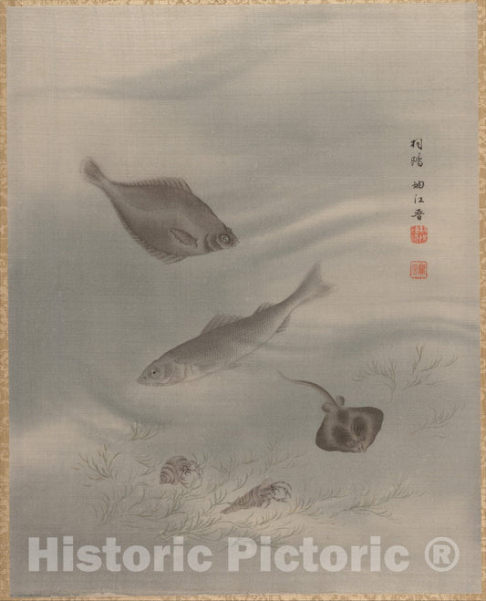 Art Print : Seki Sh?k? - Fishes - Japan - 414173 : Vintage Wall Art