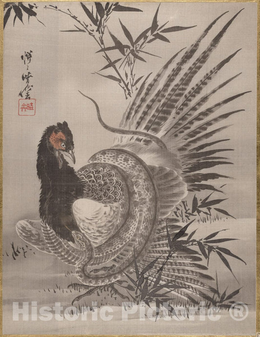 Art Print : Kawanabe Ky?sai - Pheasant Caught by a Snake - Japan : Vintage Wall Art
