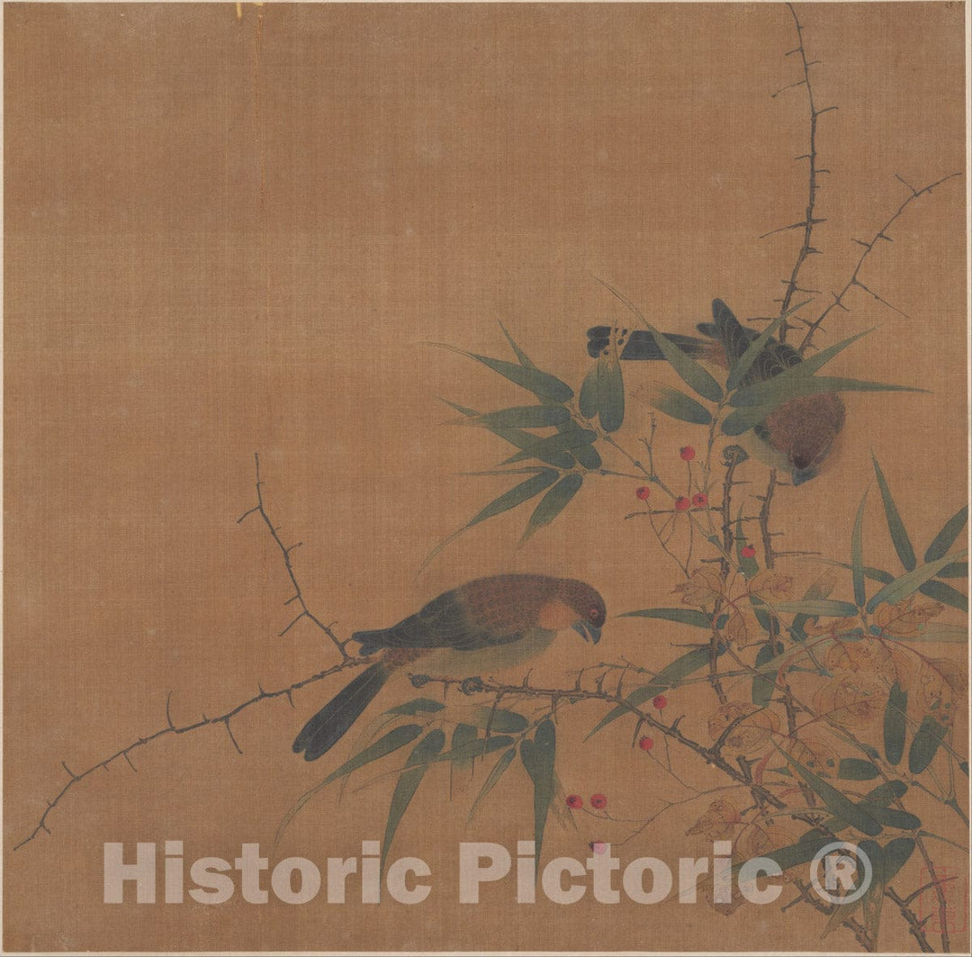 Art Print : Unidentified Artist - Branch of Tree with Fruit and Birds - China : Vintage Wall Art