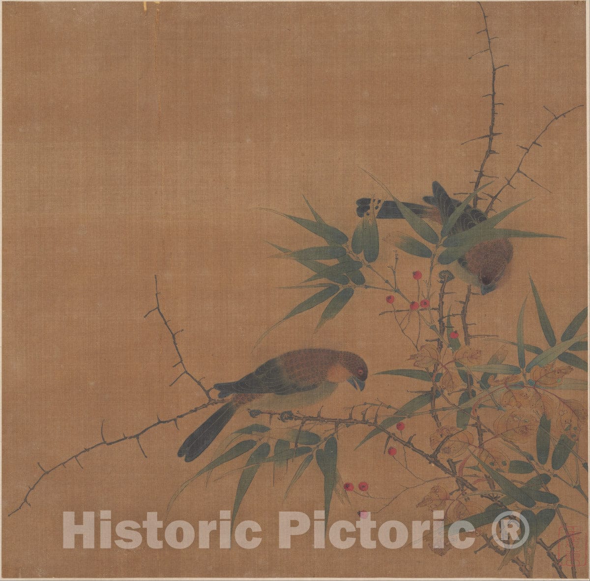 Art Print : Unidentified Artist - Branch of Tree with Fruit and Birds - China : Vintage Wall Art