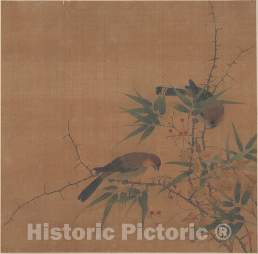 Art Print : Unidentified Artist - Branch of Tree with Fruit and Birds - China : Vintage Wall Art
