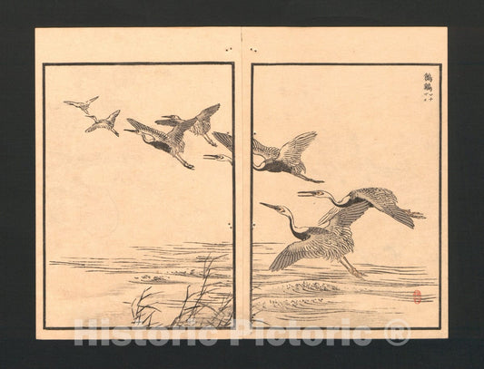 Art Print : K?no Bairei - Bairei Picture Album of One Hundred Birds (Bairei hyakuch? gafu) - Japan 1 : Vintage Wall Art