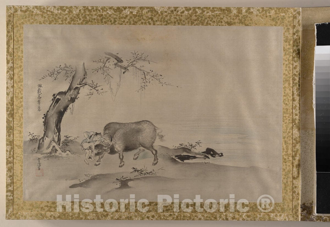 Art Print : Kano Tsunenobu - Album of Copies of Chinese Paintings - Japan v.2 : Vintage Wall Art